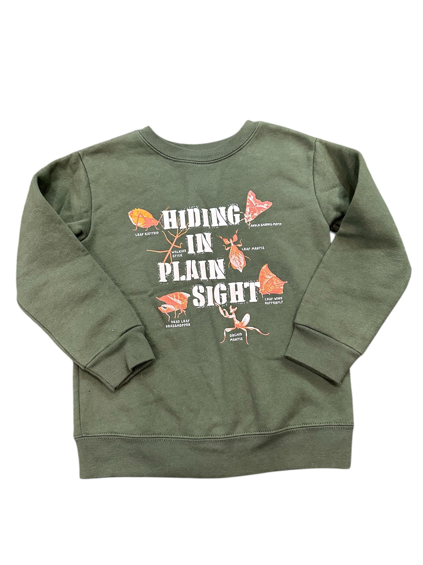Toddler Insect Pullover (4T)