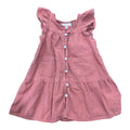 Girls Button-Down Dress (12m)
