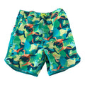 Toddler Swim Trunks (4T)