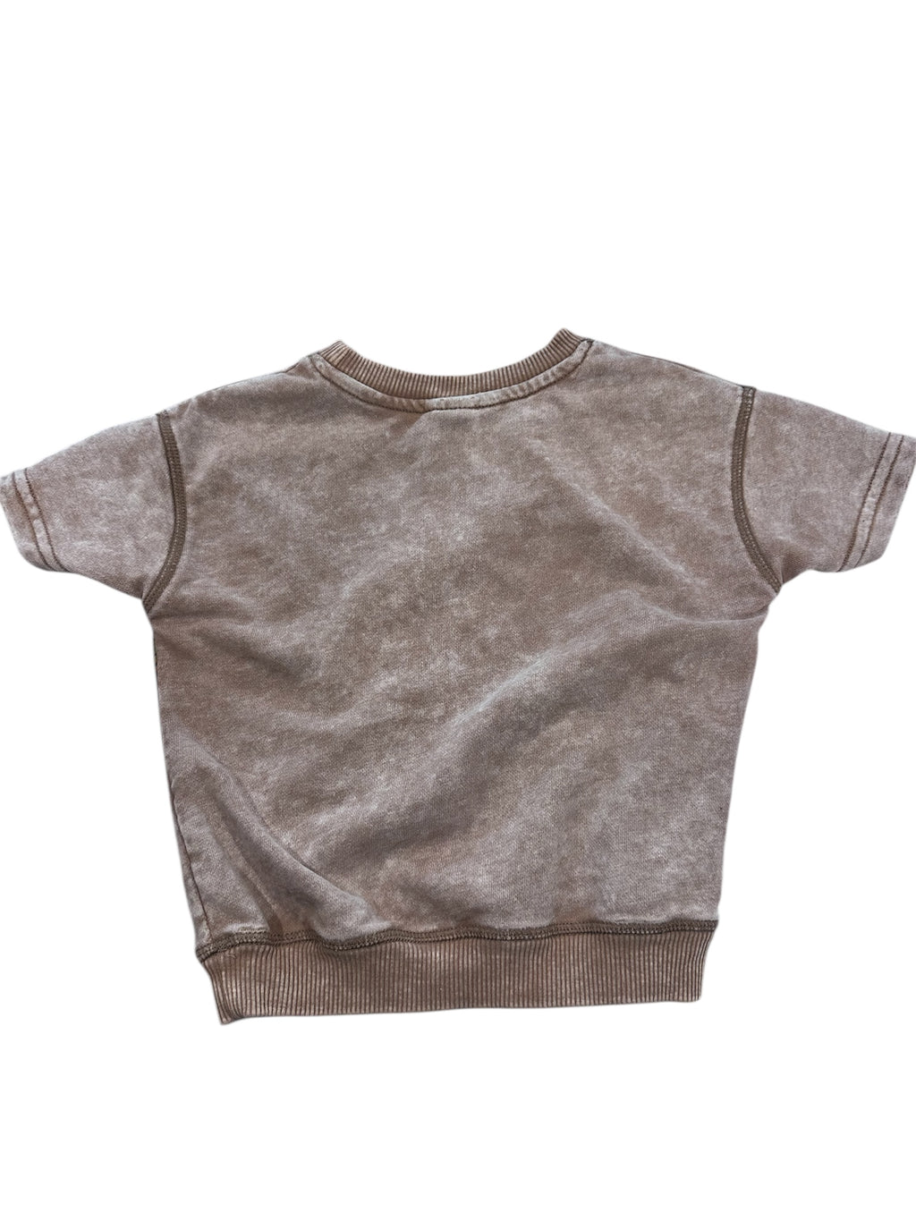 TMNT Shirt (3T)
