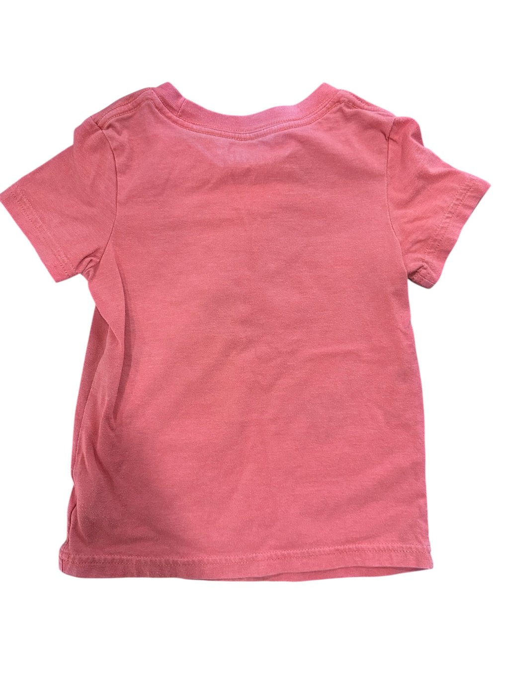 Dream Big Shirt (2T)