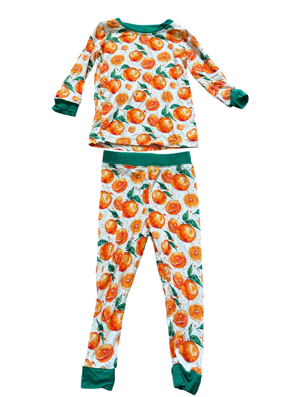 Florida Native Long-sleeve Set (6-12m)