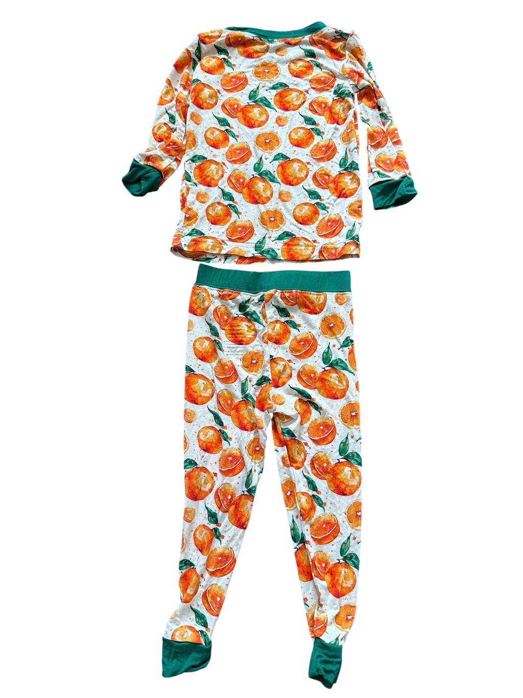 Florida Native Long-sleeve Set (6-12m)