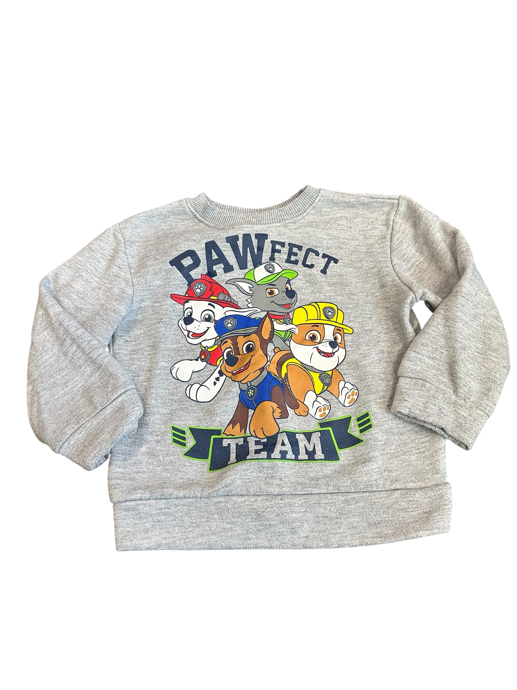 Pawfect Team Pullover (4T)