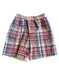 Multicolor Plaid Shorts (3T)